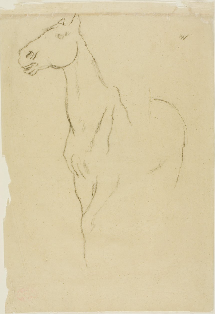Pferd im Dreiviertelprofil von Edgar Degas