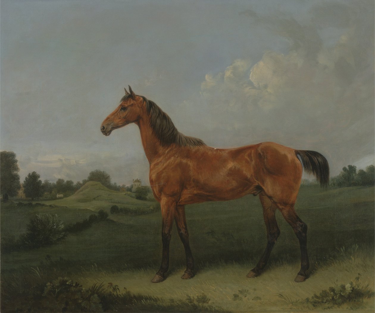 Ein braunes Pferd auf einer Wiese von Edmund Bristow