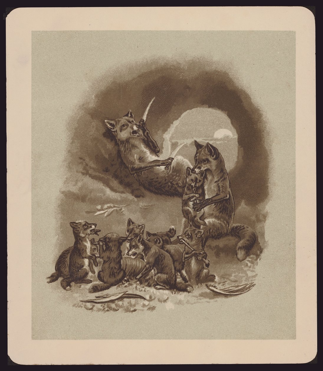 Illustration für Der Fuchs und die Gans von E Caldwell von Edmund G. Caldwell