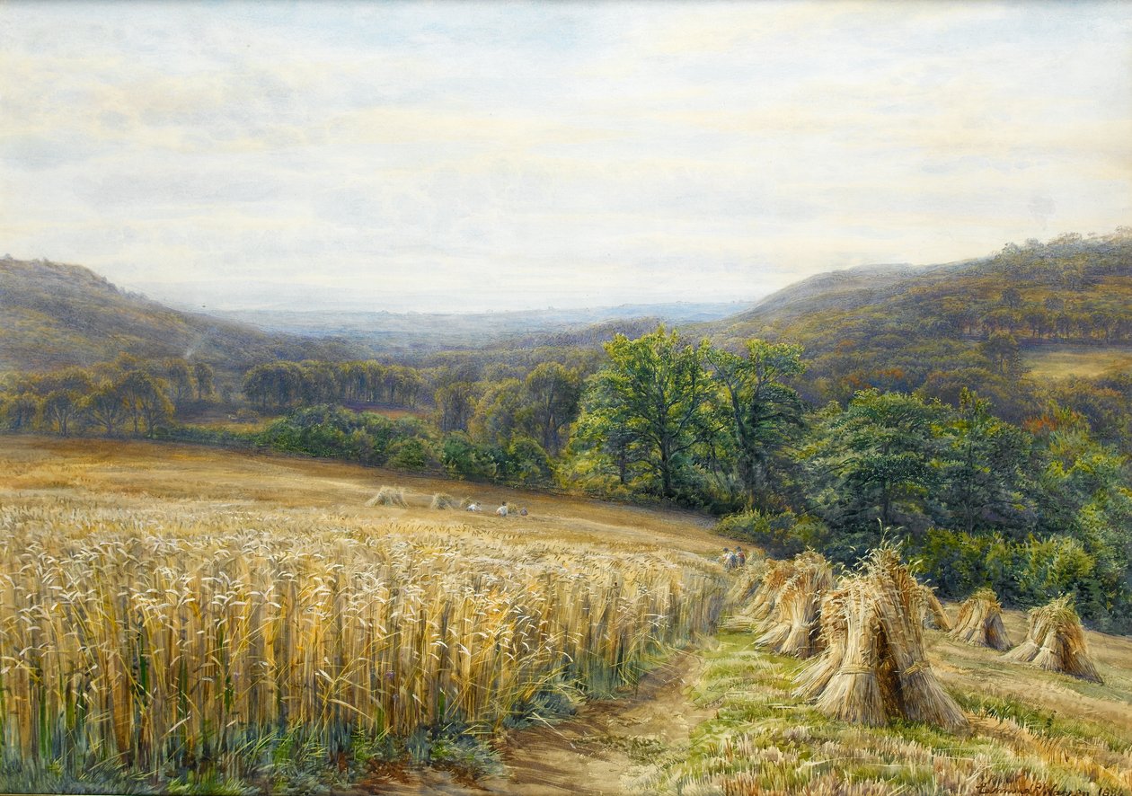 Erntezeit in der Nähe von Ashburton, 1884 von Edmund George Warren