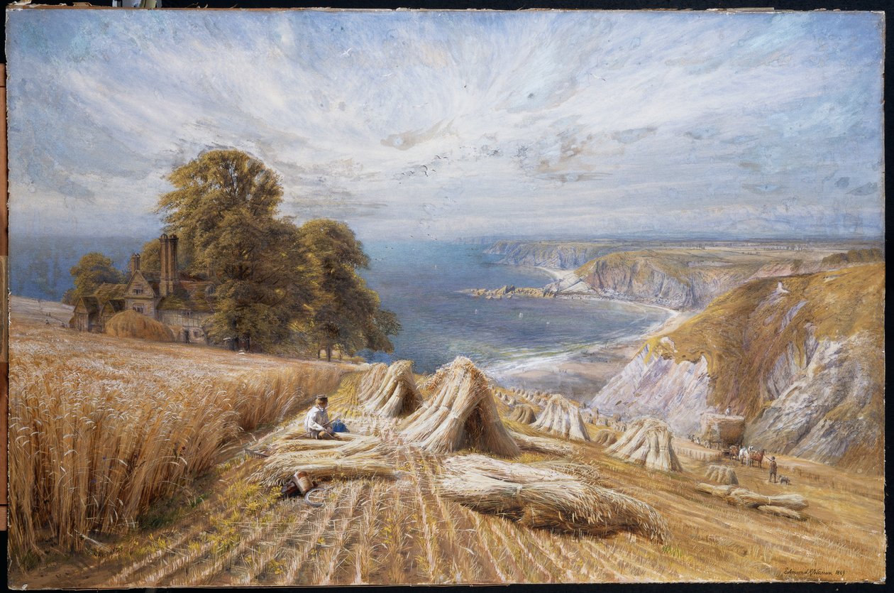 Ernte an der Südküste, 1869 von Edmund George Warren