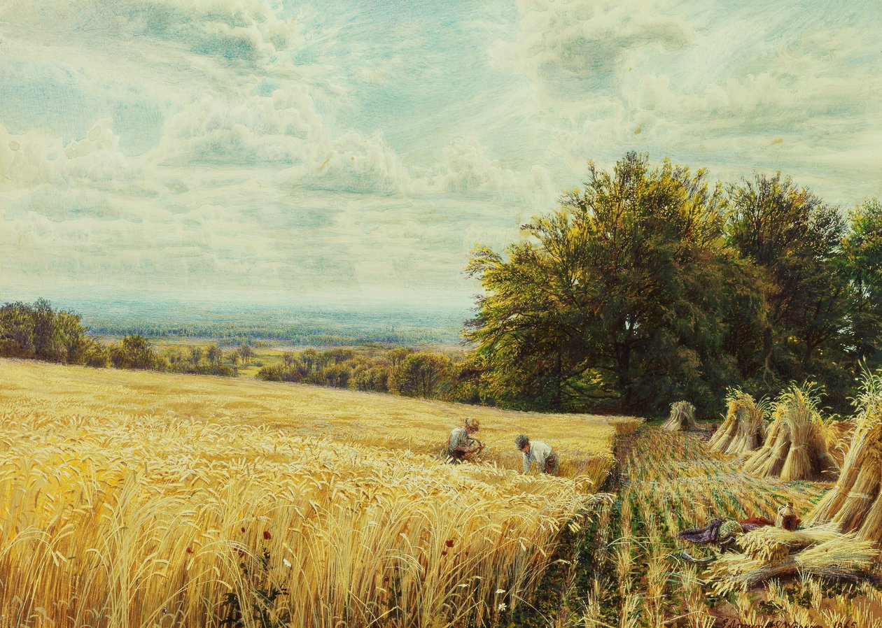 Die Erntearbeiter, 1865 von Edmund George Warren