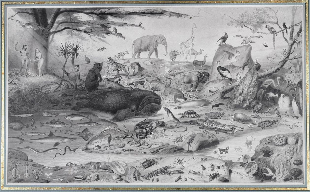 Adam und Eva und die Tiere, 1841 von Edouard Travies