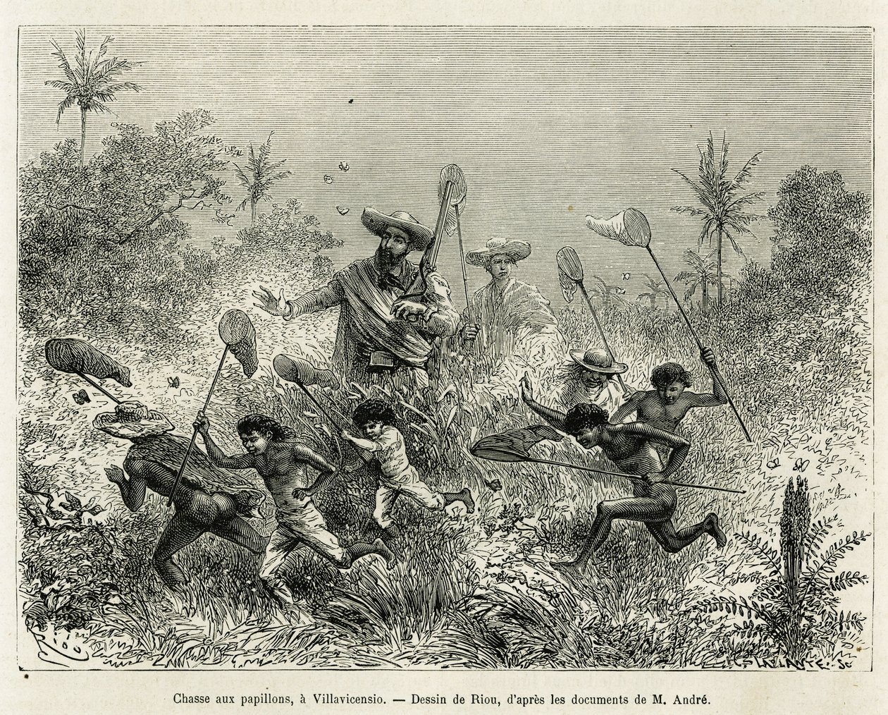 Eine Gruppe von Kindern jagt Schmetterlinge, begleitet vom Autor, in Villavicencio (Kolumbien), Zeichnung von Riou, um die Geschichte von Äquatorialamerika (Kolumbien, Ecuador, Peru) in 1875-1876 zu illustrieren, von Ed. André, Reisender im Auftrag der fra von Edouard Riou