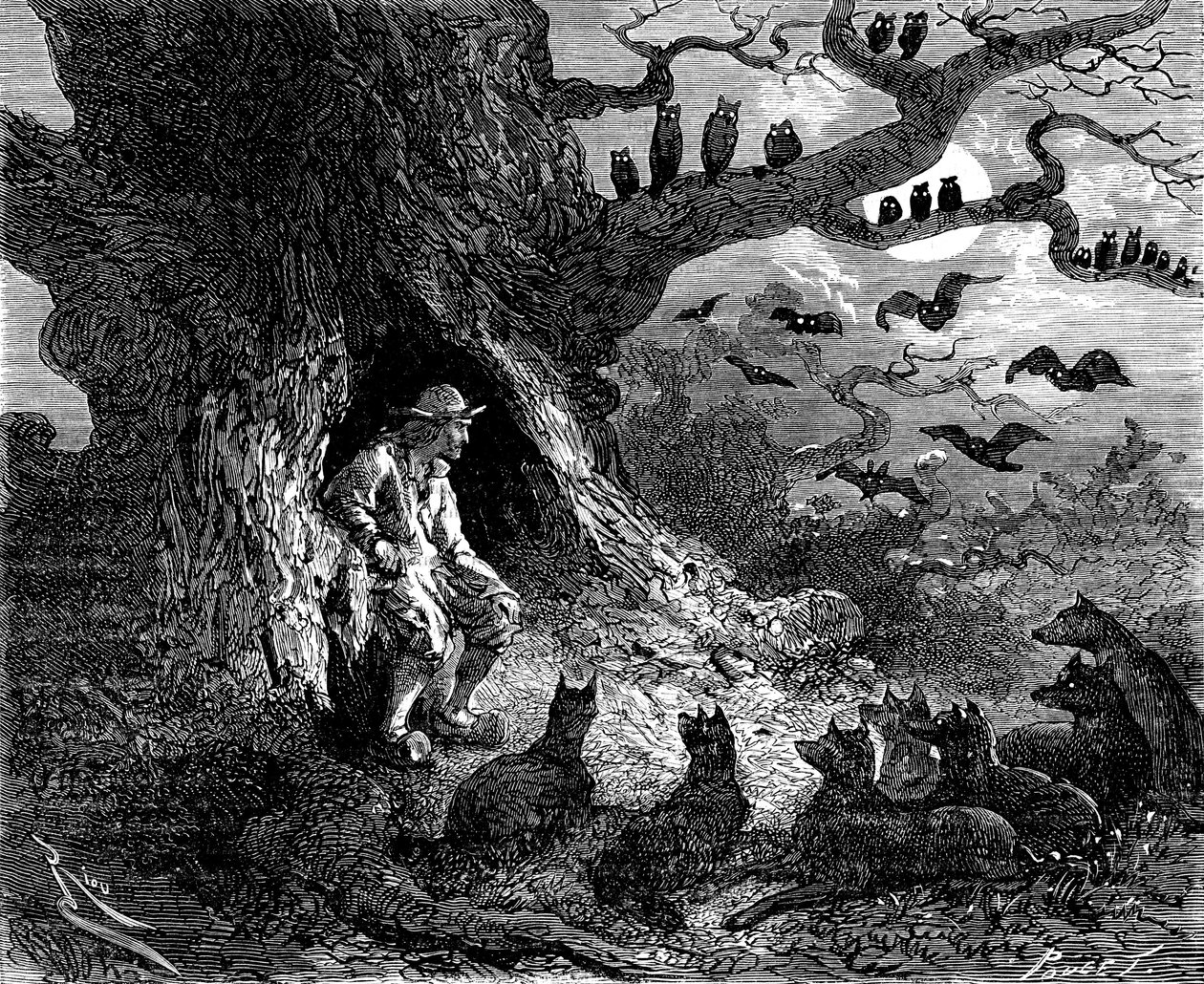 Illustration für Alexandre Dumas