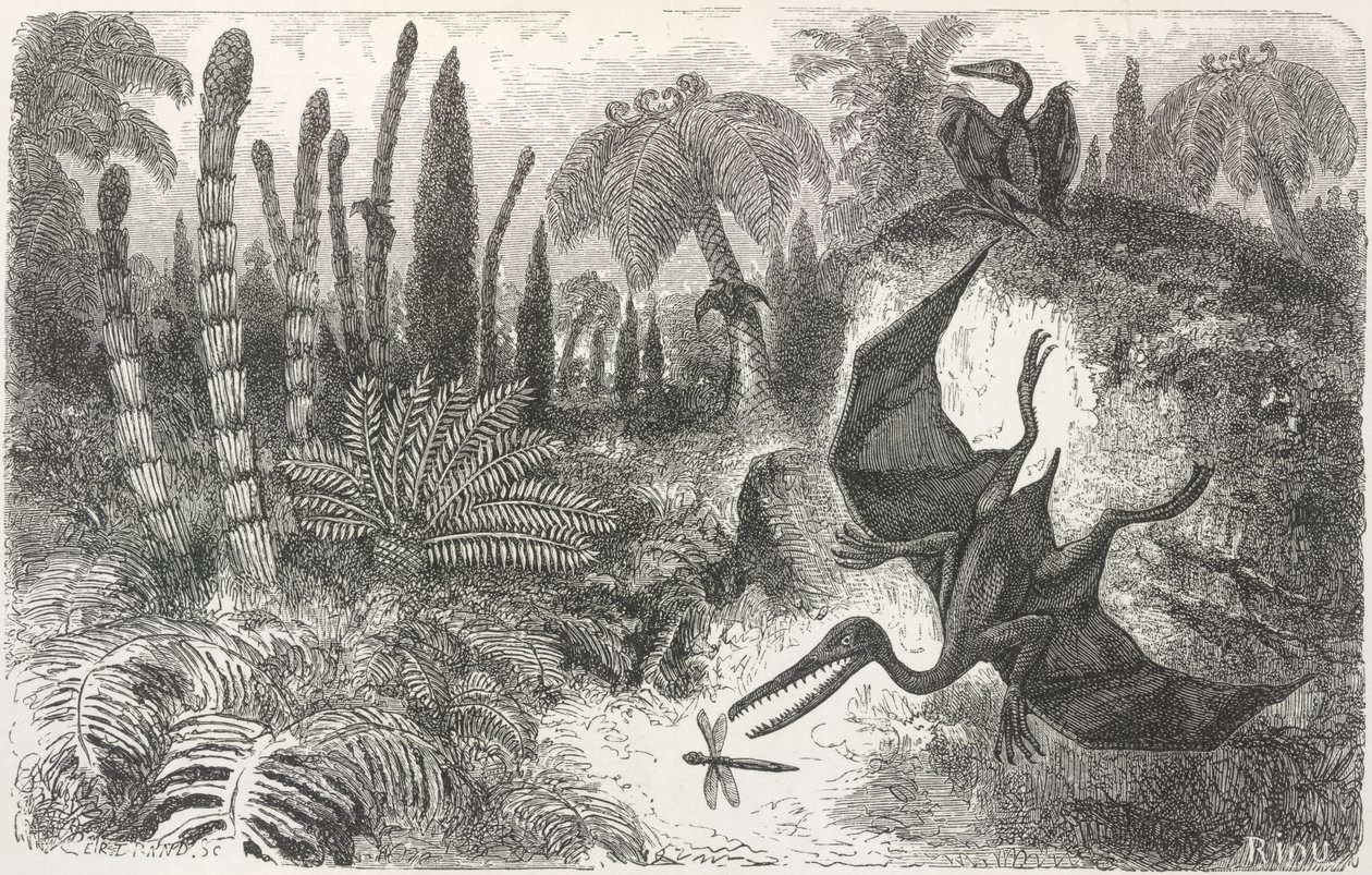 Landschaft der Lias-Zeit. Illustration eines Pterodaktylus von Edouard Riou