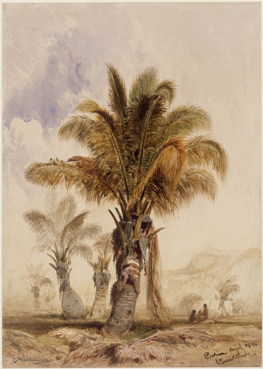 Kokospalmen in Bahia von Eduard Hildebrandt