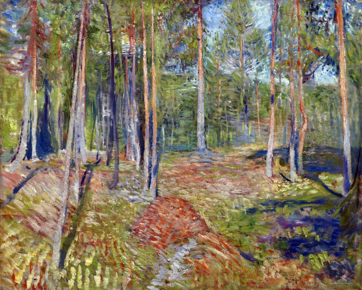 Kiefernwald von Edvard Munch