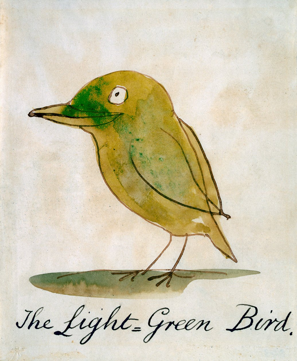Der hellgrüne Vogel, aus 