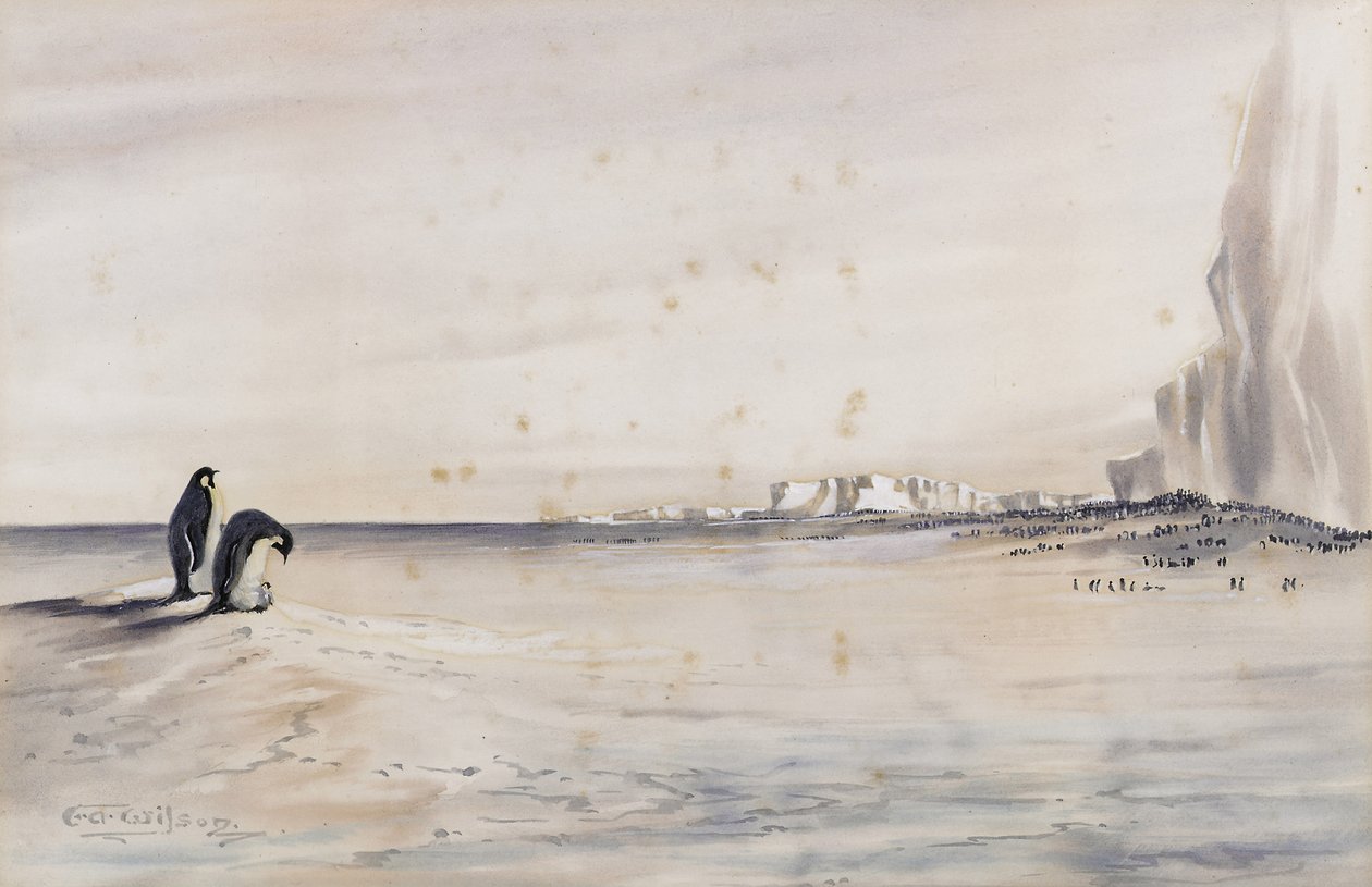 Die Kaiserpinguin-Kolonie, Cape Crozier von Edward Adrian Wilson