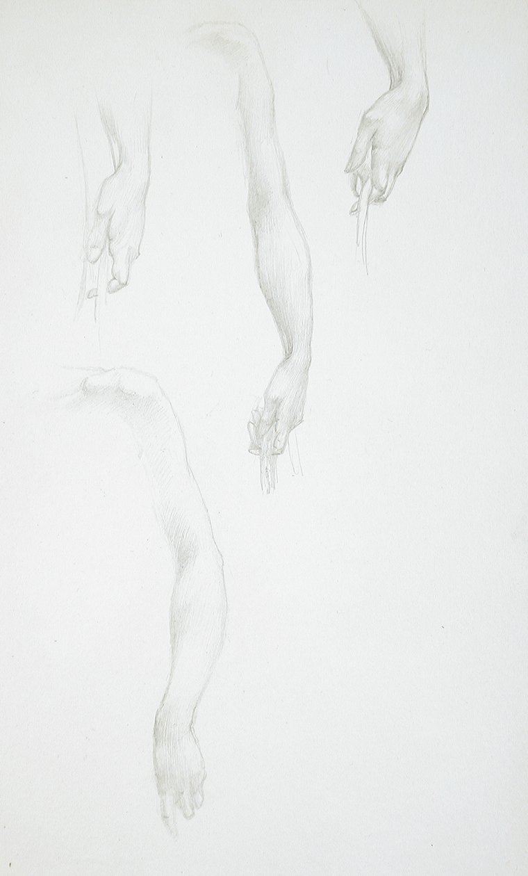 Studien von Armen und Händen (recto); Studie eines weiblichen Torsos (verso) von Edward Burne-Jones