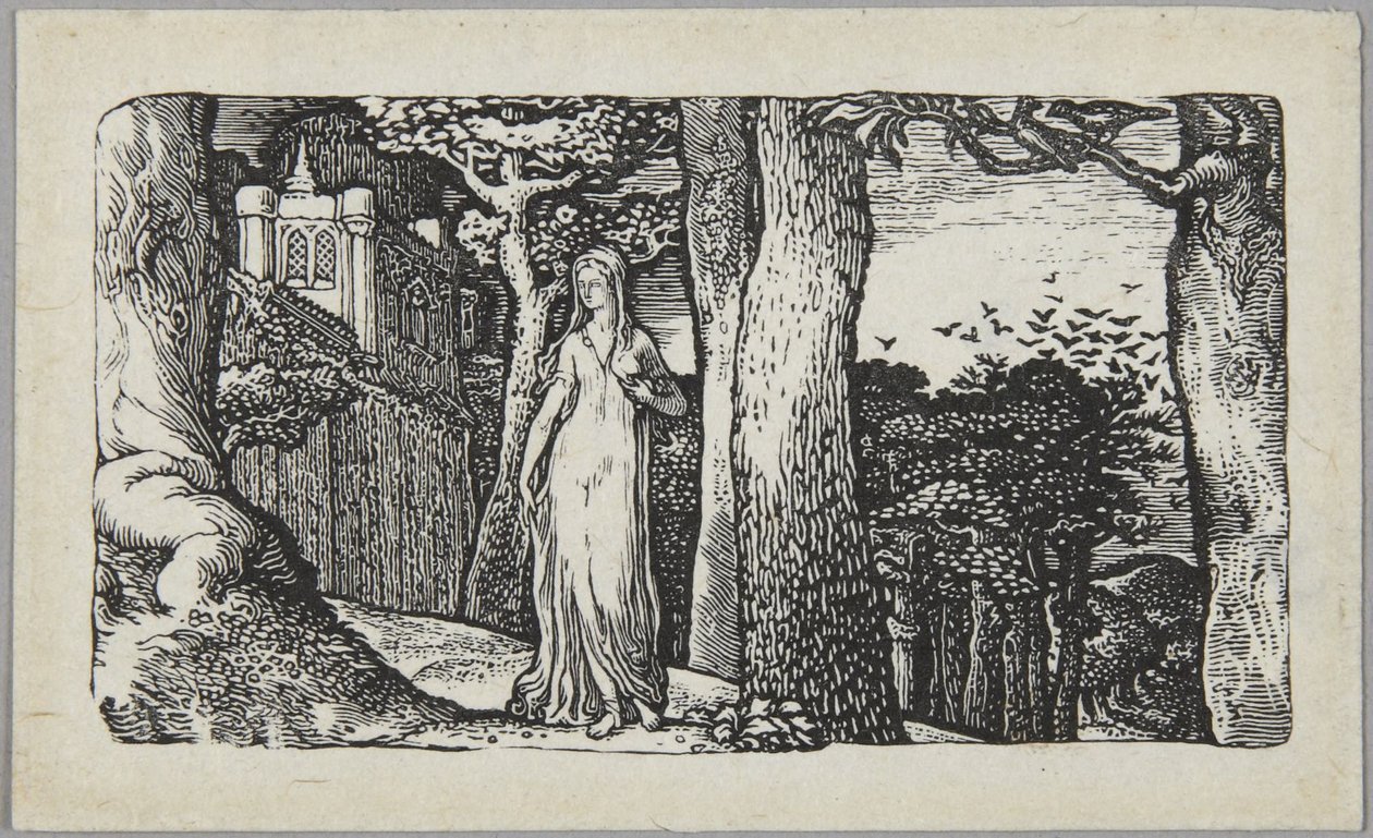 Die Dame mit den Türmen von Edward Calvert