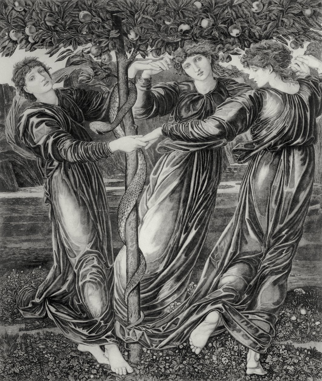 Der Garten der Hesperiden von Edward Coley (after) Burne Jones