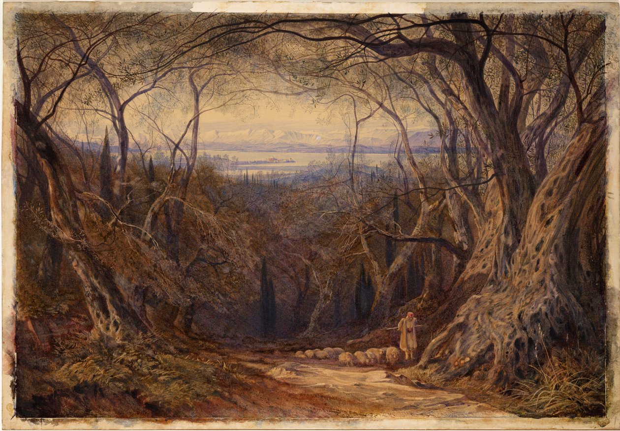 Korfu von Edward Lear