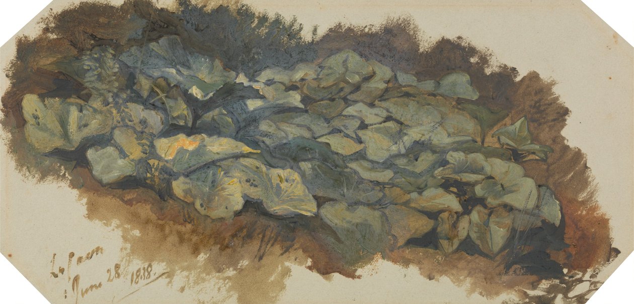 La Cava von Edward Lear