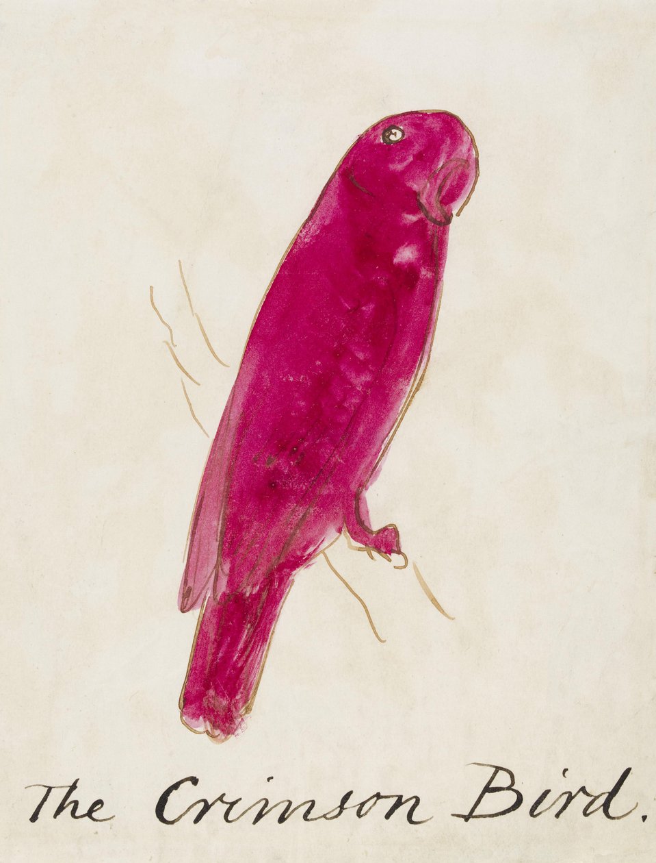 Der Purpur-Vogel, aus Sechzehn Zeichnungen komischer Vögel von Edward Lear