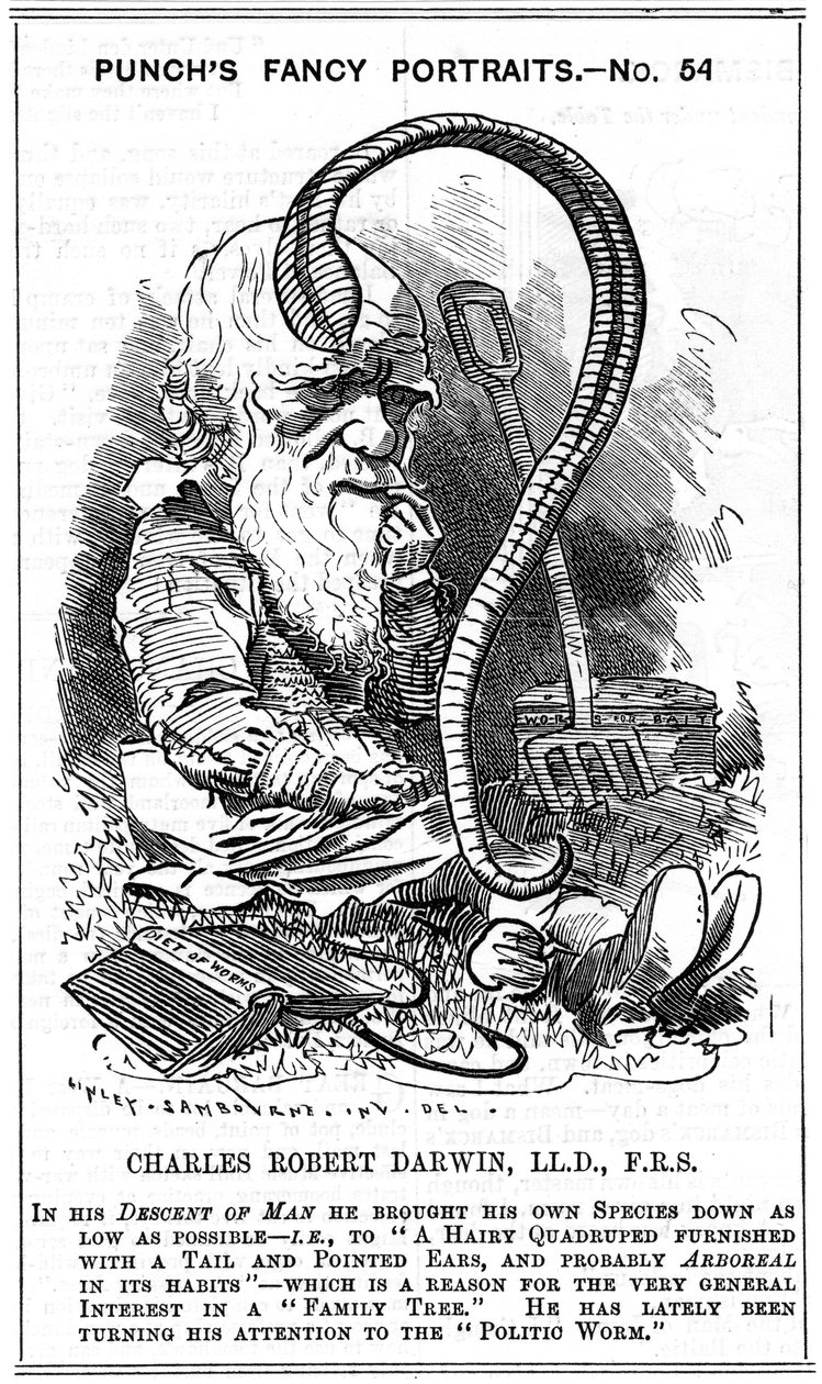 Charles Darwin, englischer Naturforscher, 1881 von Edward Linley Sambourne