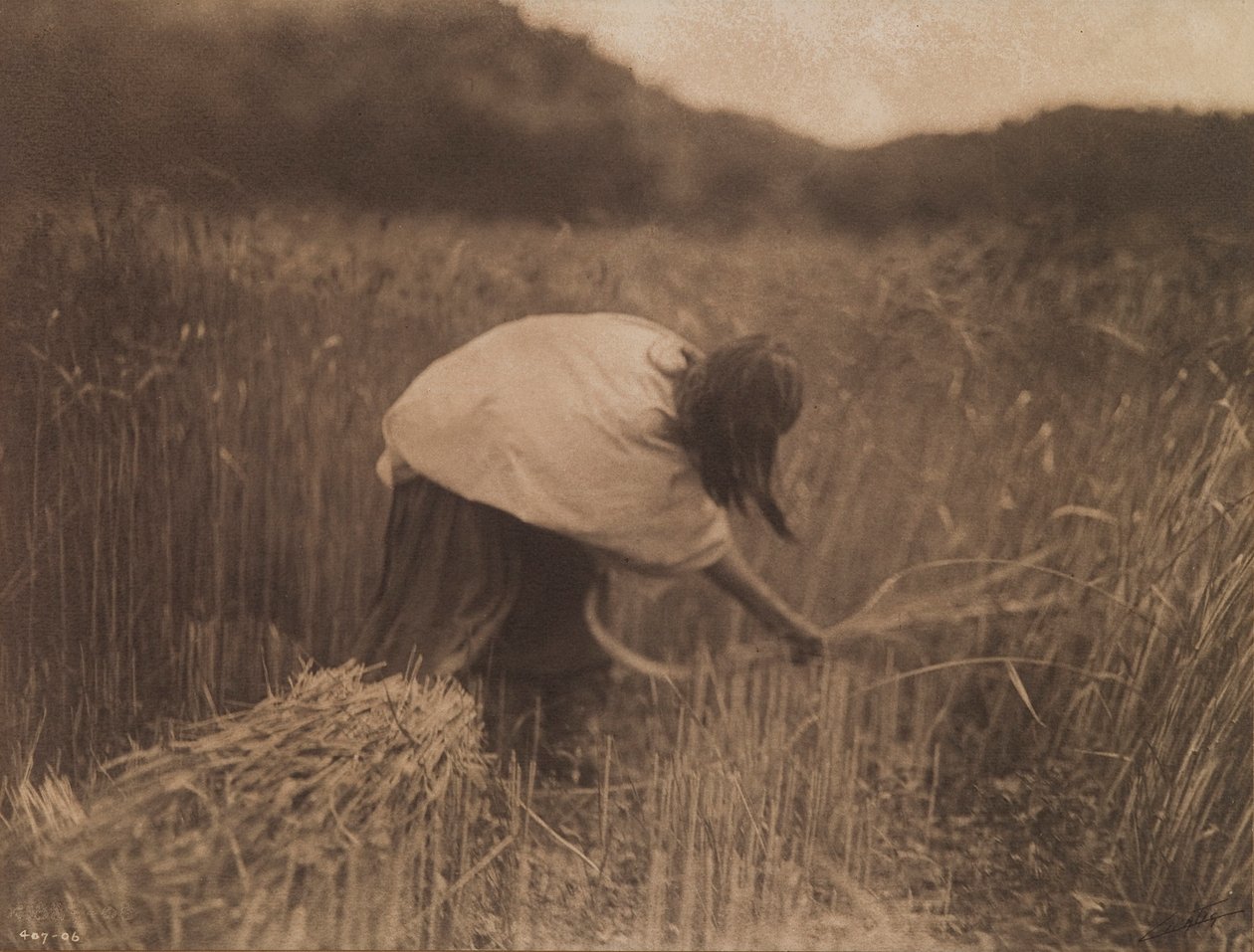 Der Apache-Schnitter von Edward S. Curtis