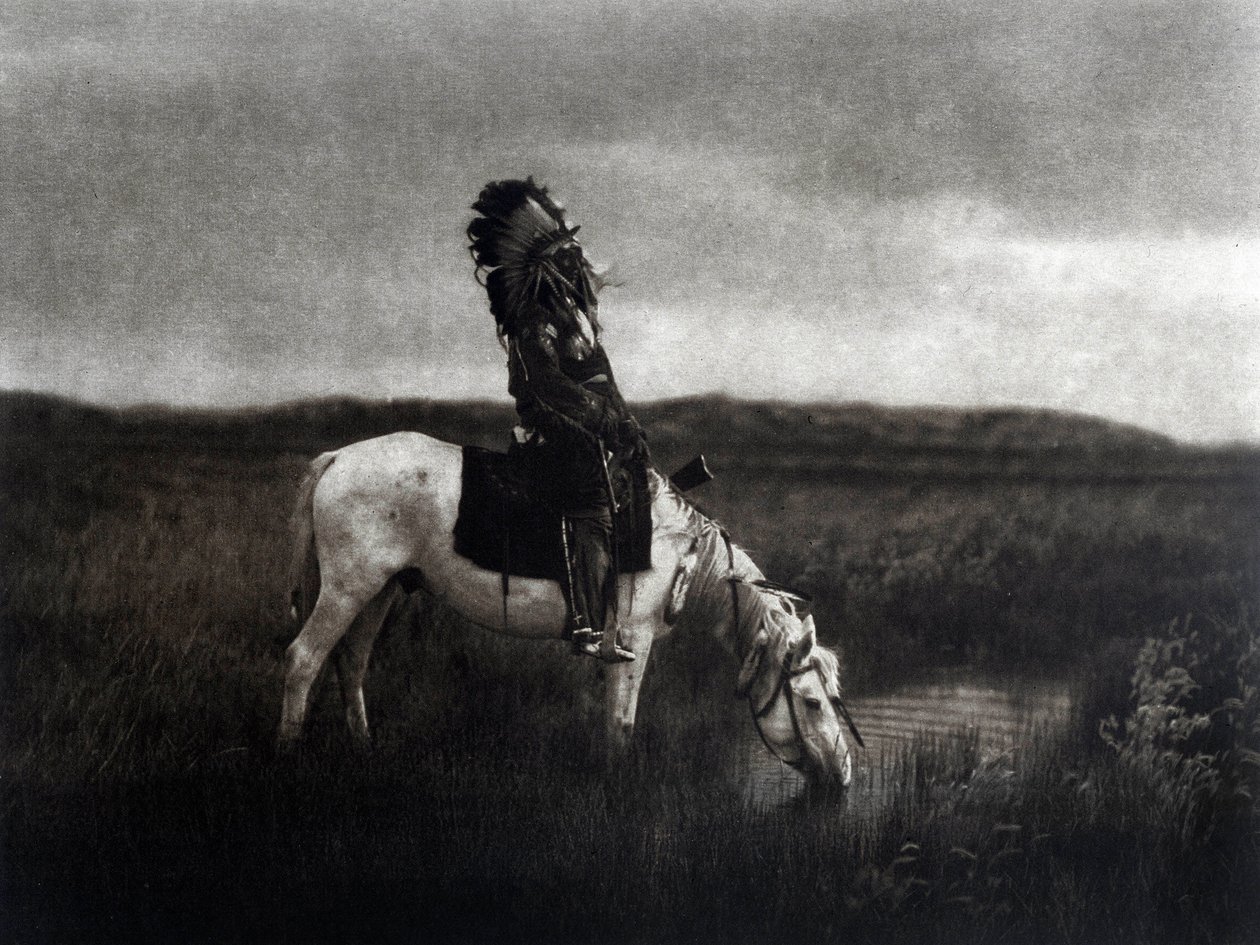 Indianerkrieger reitet in der Ebene von Edward Sheriff Curtis