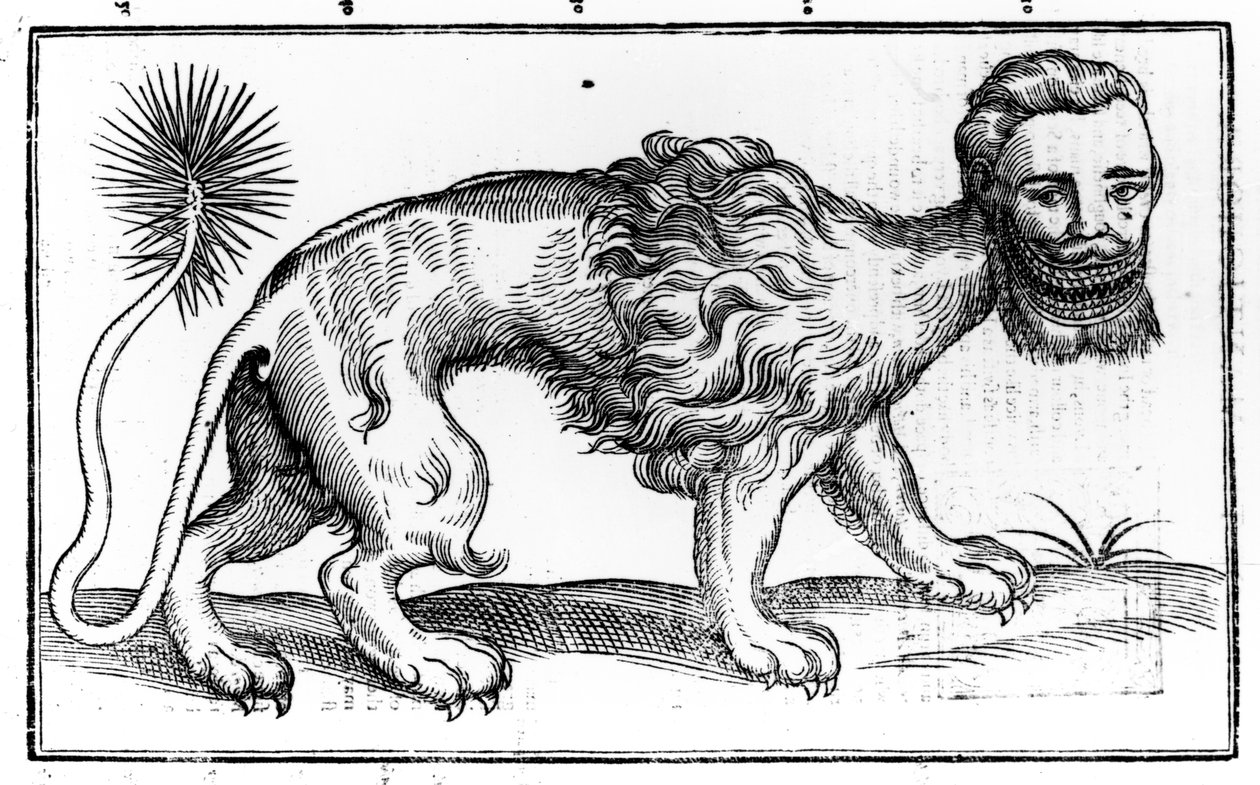 Manticore aus 