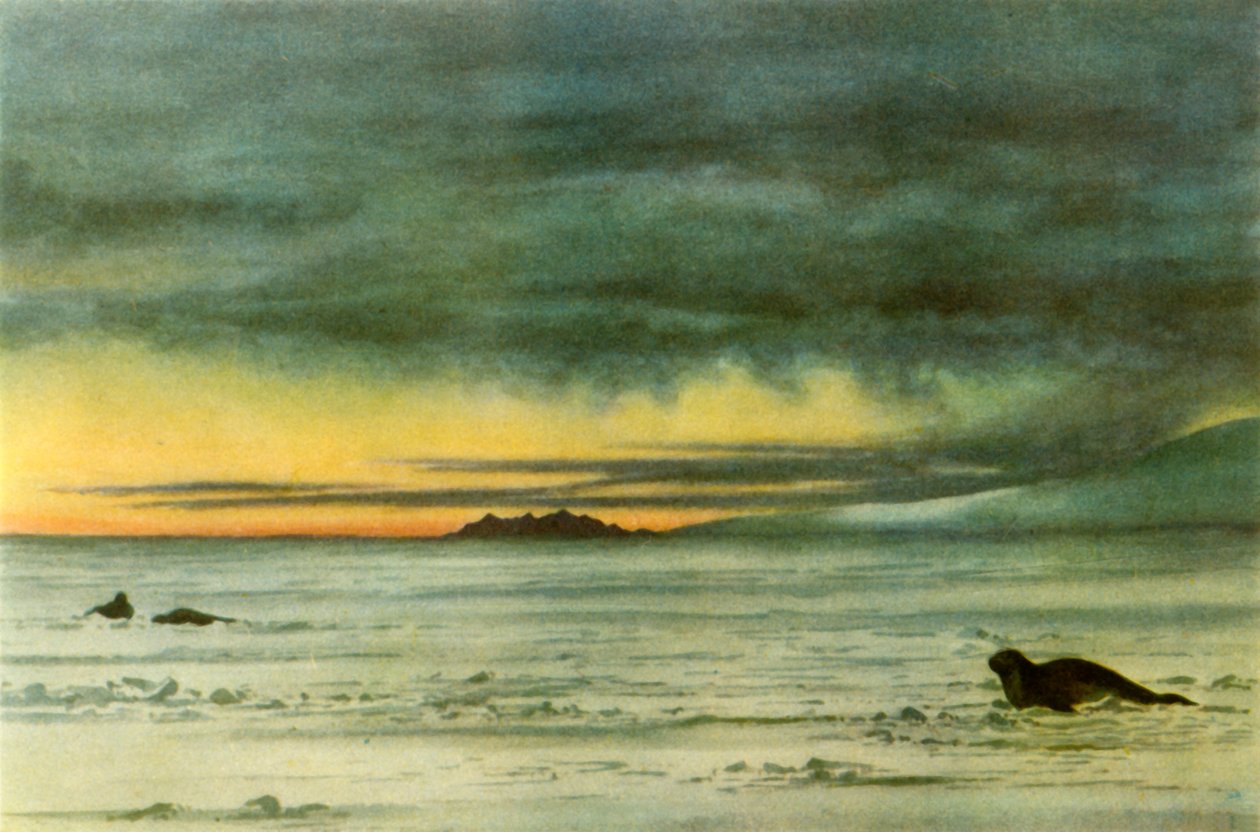 Blick nach Norden im McMurdo-Sund von Edward Wilson
