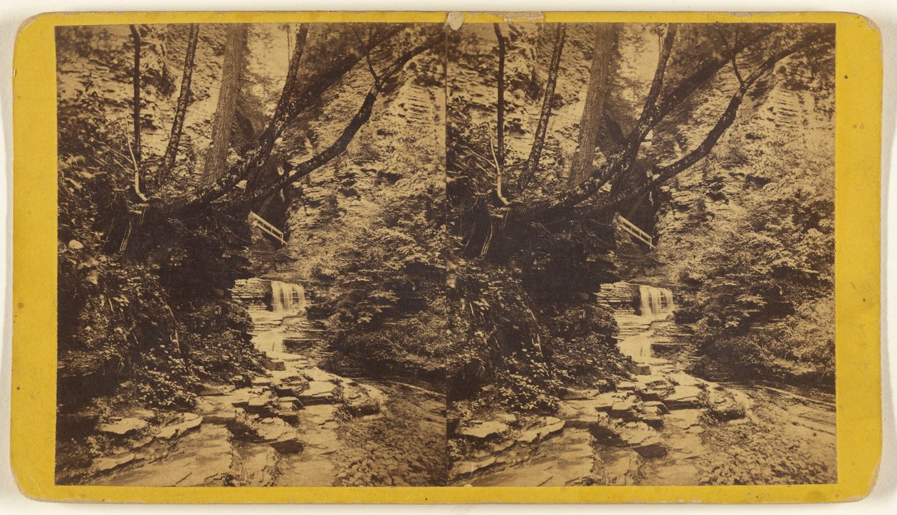 Künstlerstudien, Glen Alpha. Abschnitt Nr. 1. von Edward and Henry T. Anthony and Co.