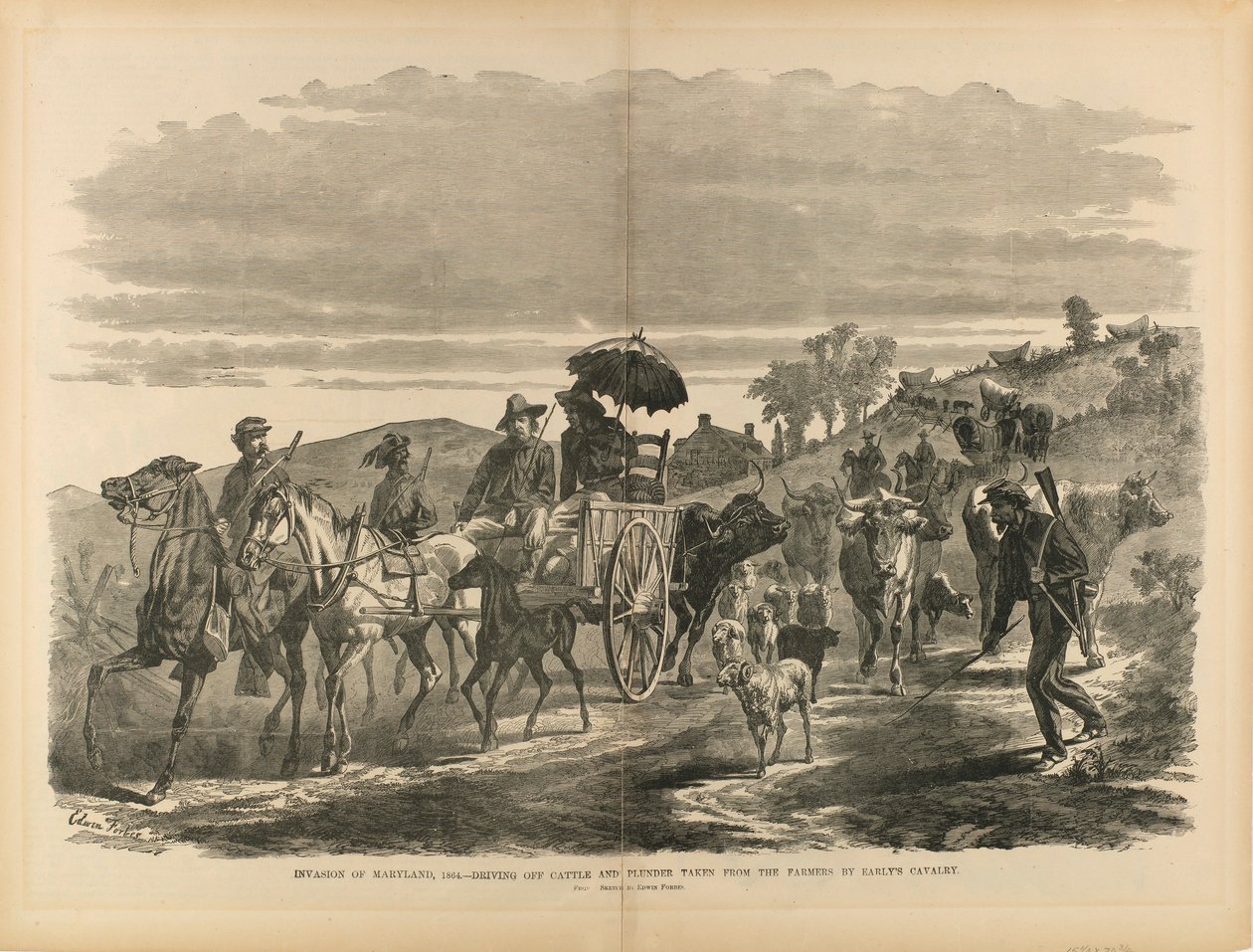 Invasion von Maryland, 1864 - Viehdiebstahl und Plünderung durch Earlys Kavallerie, aus "Der Soldat in unserem Bürgerkrieg" von Edwin Forbes