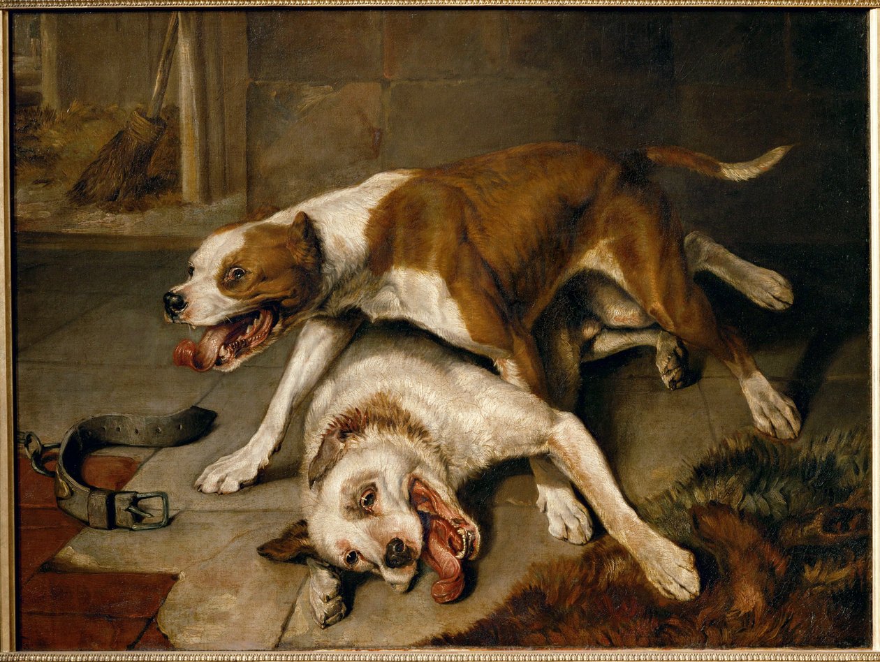 Kämpfende Hunde, die eine Pause machen von Edwin Landseer