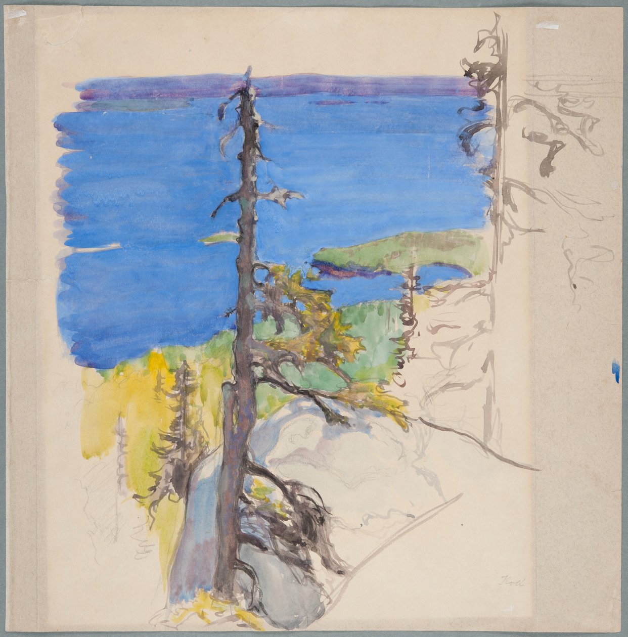 Motiv aus Koli von Eero Järnefelt