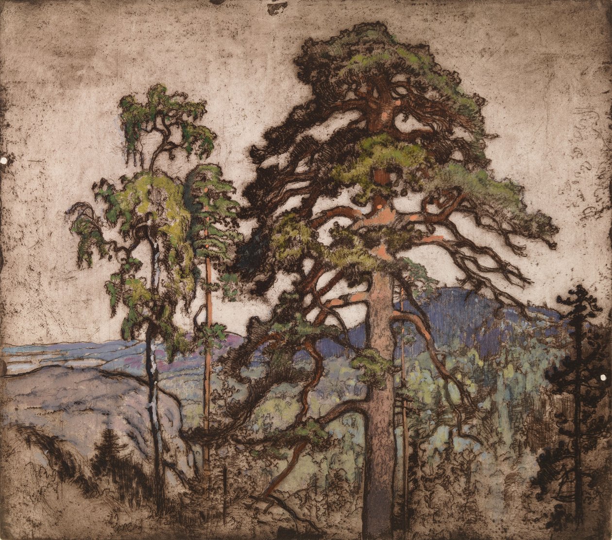 Blick vom Koli von Eero Järnefelt