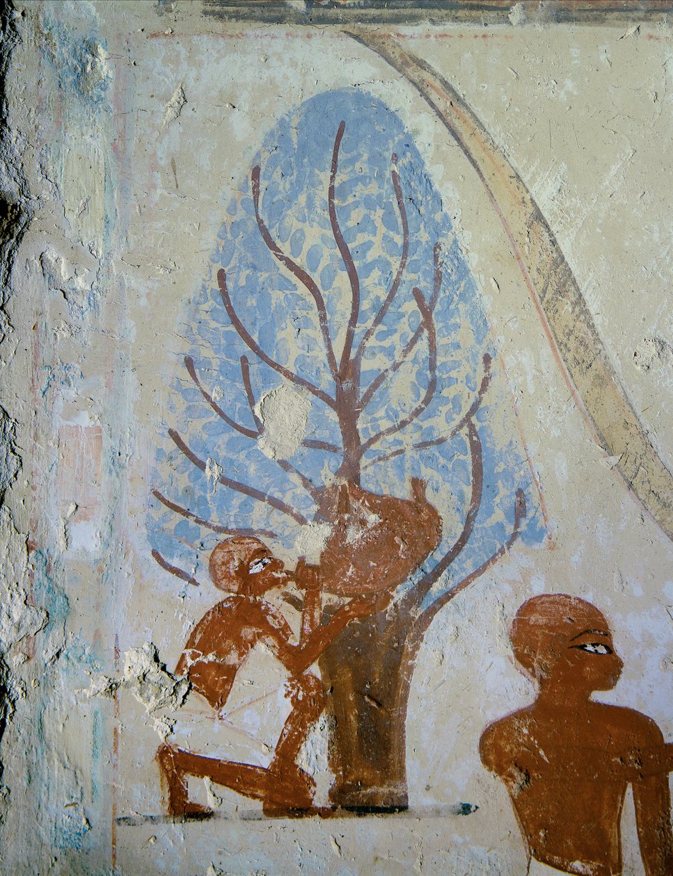 Ein Bauer trinkt aus einem Wasserschlauch von Egyptian 18th Dynasty