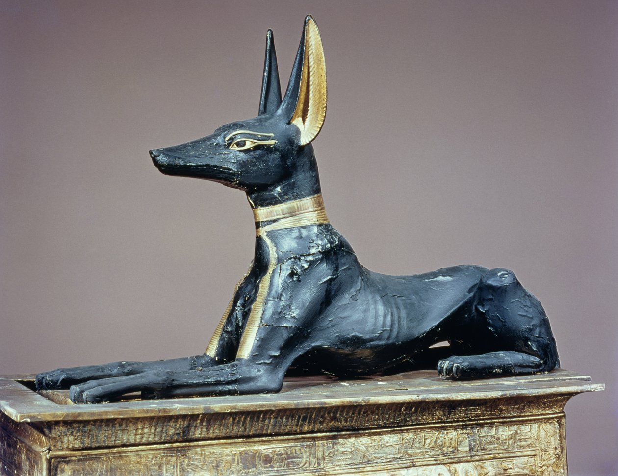 Anubis, ägyptischer Gott der Toten, von einer Truhe in Form eines Schreins, aus dem Grab von Tutanchamun (ca. 1370-52 v. Chr.) Neues Reich (Holz) von Egyptian 18th Dynasty