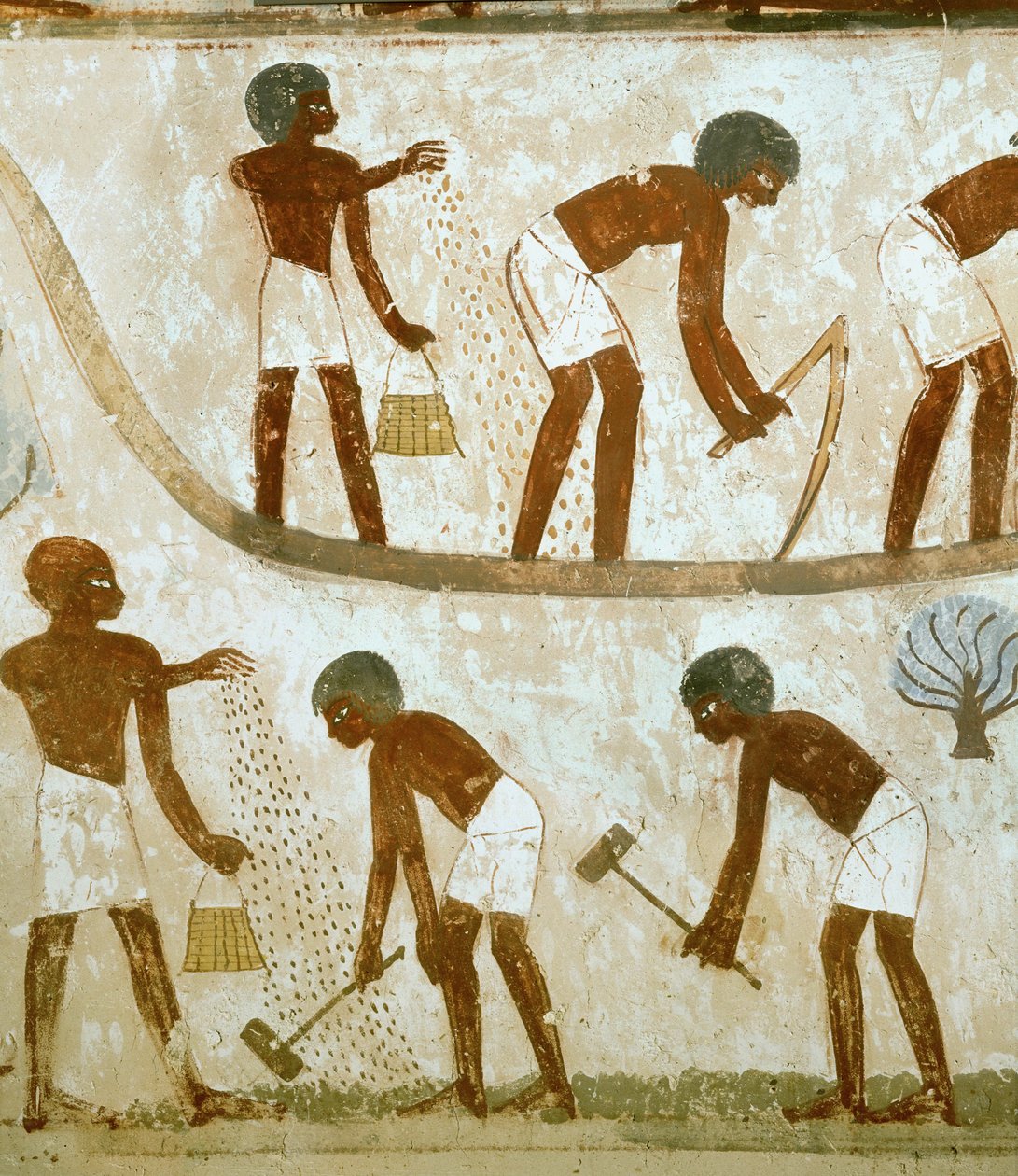 Bauern beim Aufbrechen des Bodens, Säen und Pflügen von Egyptian 18th Dynasty