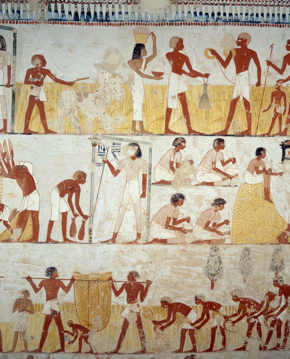 Ernte, Dreschen und Worfeln von Getreide, Detail der Fresken im Vorraum des Grabes von Menna, Sheikh Abd el Qurnah Nekropole, Luxor, Theben (Unesco-Welterbeliste) von Egyptian 18th Dynasty