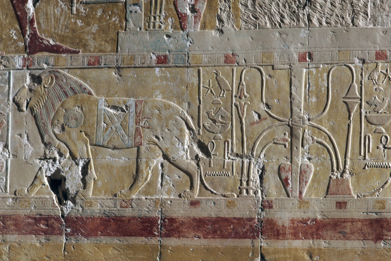 Löwe, Relief, Totentempel der Hatschepsut, Deir el-Bahari, Thebanische Nekropole von Egyptian 18th Dynasty
