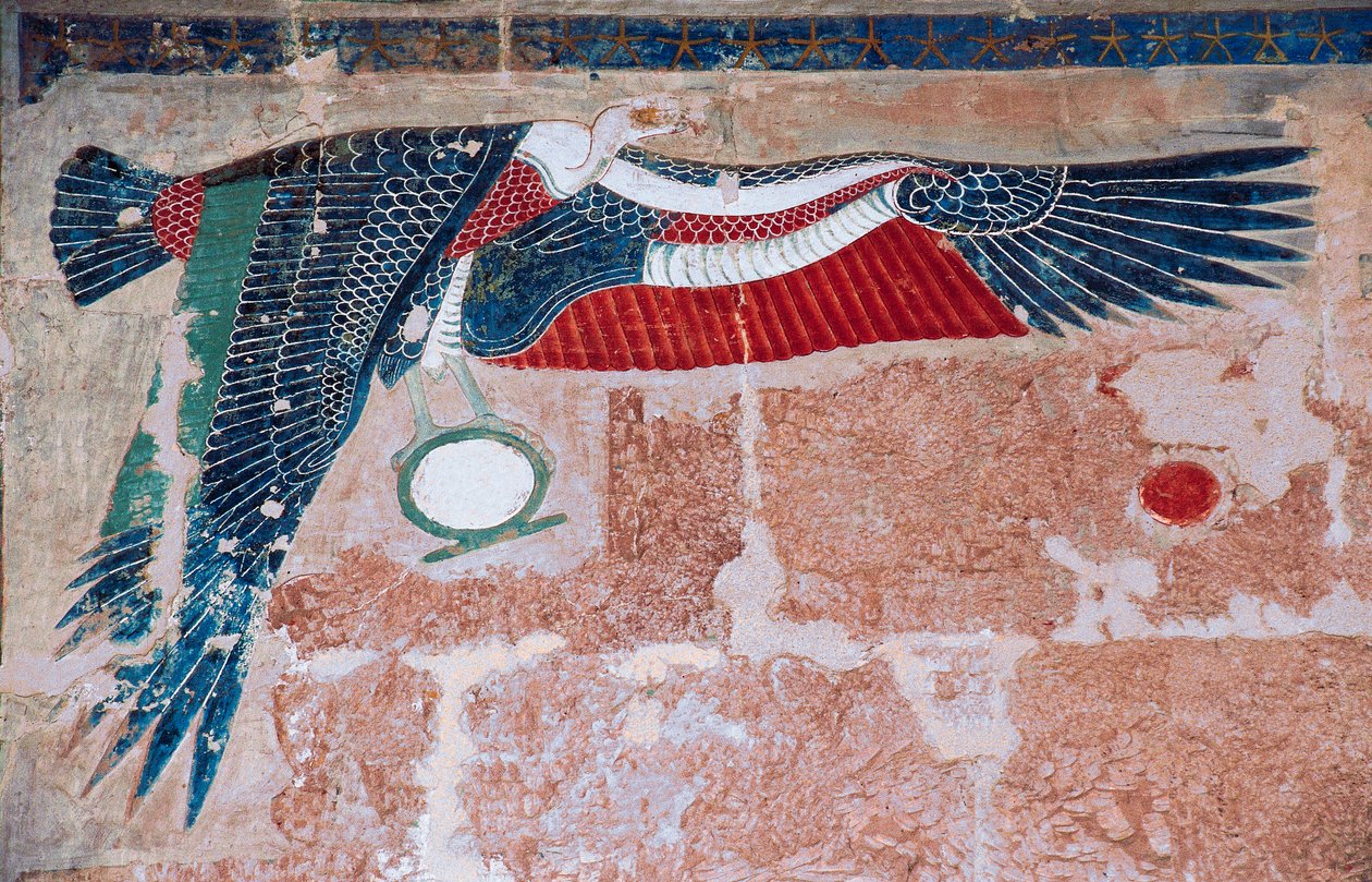 Bemaltes Relief, das einen Geier von Oberägypten darstellt, Totentempel von Hatschepsut, Deir el-Bahari, Luxor, Theben von Egyptian 18th Dynasty