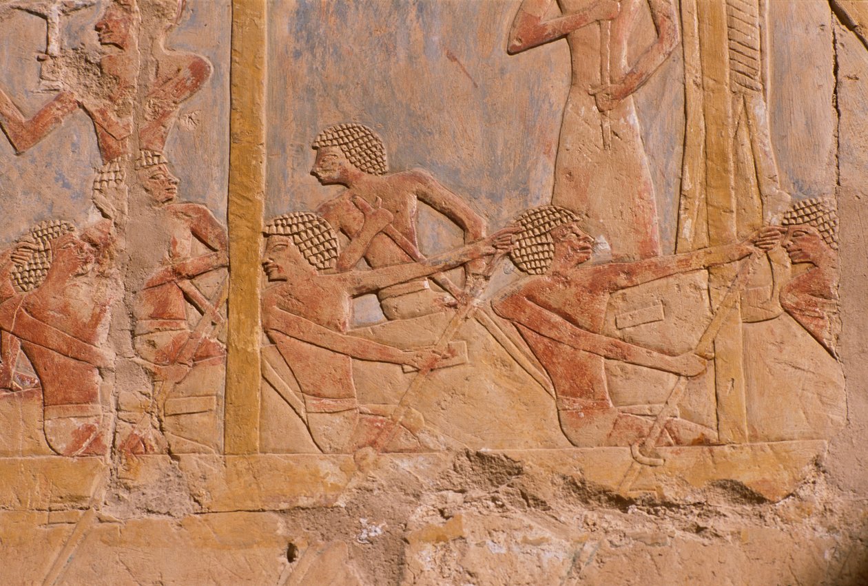 Relief von Männern, die auf einem Boot rudern (Detail) aus dem Totentempel der Hatschepsut (ca. 1503-1482 v. Chr.) von Egyptian 18th Dynasty