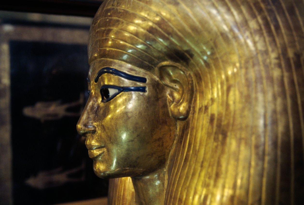Sarkophag von Tjuya, aus dem Grab von Yuya und Tjuya, Tal der Könige, Ägypten, ägyptische Zivilisation, Neues Reich, 18. Dynastie, (Detail) von Egyptian 18th Dynasty