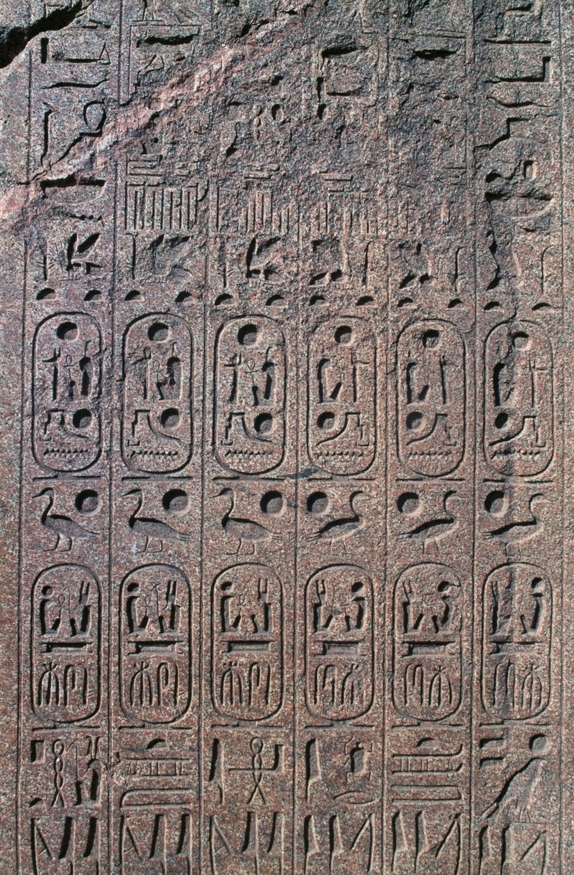 Block mit Reliefs und Inschriften, Großer Tempel des Amun, Tanis, Ägypten, Neues Reich, Dynastie XIX von Egyptian 19th Dynasty
