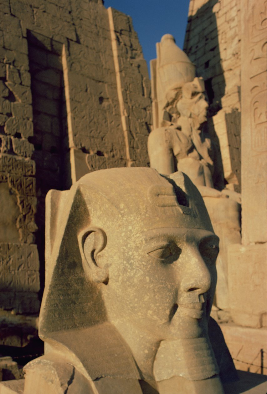 Kolossaler Kopf von Ramses II. (1298-32 v. Chr.) Neues Reich von Egyptian 19th Dynasty