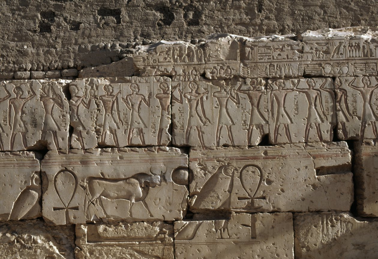 Relief, Tempel von Ramses II, Abydos, Ägypten, ägyptische Zivilisation, Neues Reich, Dynastie XIX von Egyptian 19th Dynasty