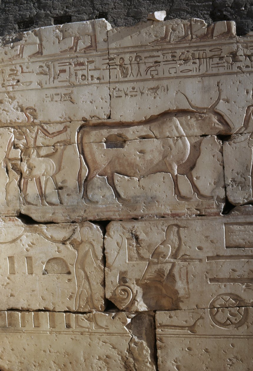 Relief, Tempel von Ramses II., Abydos, Ägypten, ägyptische Zivilisation, Neues Reich, Dynastie XIX von Egyptian 19th Dynasty