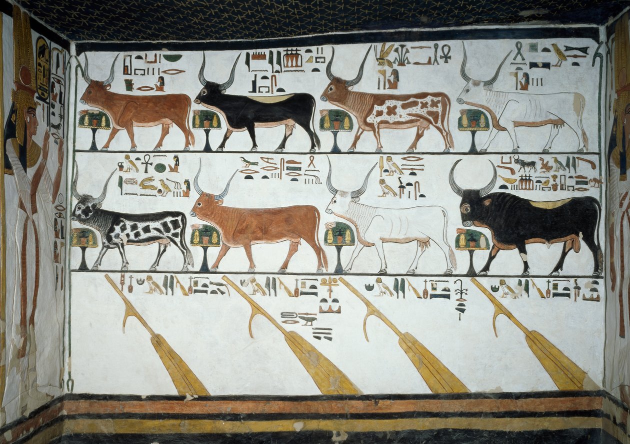 Sieben himmlische Kühe, Ehemann Stier und vier Steuerpaddel, Kapitel 148 des Totenbuchs (Detail) von Egyptian 19th Dynasty