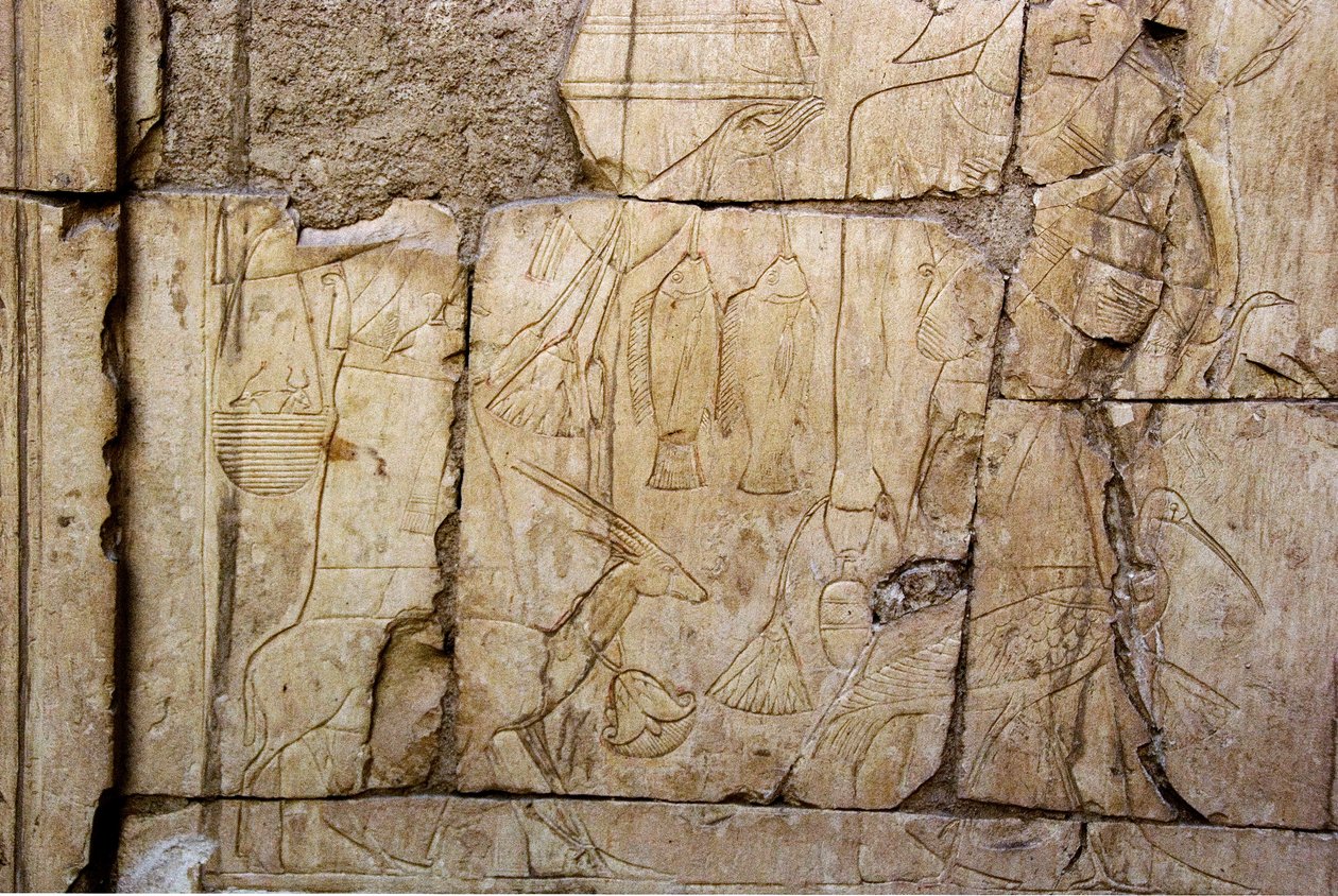 Ägyptische Antiquität: Relief, das Träger von Opfergaben darstellt. Grab von Ankh-Hor (Ankh Hor) (TT414) (26. Dynastie, 672-525 v. Chr.), Luxor (Theben), Ägypten von Egyptian 26th Dynasty