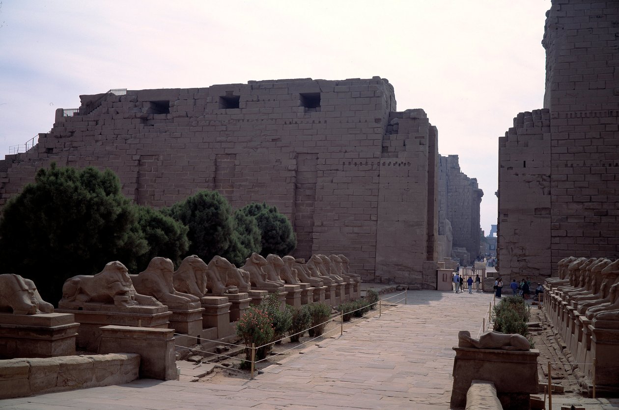 Ägyptische Antiquität: Allee (Dromos) der Kriosphinx (Sphinx mit Widderkopf) in Karnak, Luxor, Ägypten von Egyptian Egyptian