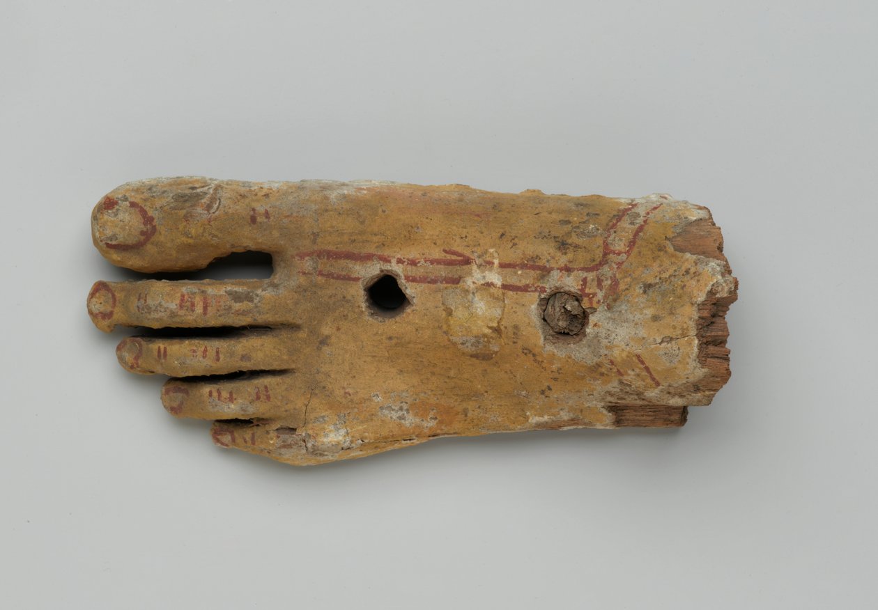 Linker Fuß von einem anthropoiden Sarg, 30 v. Chr.-2. Jahrhundert n. Chr. von Egyptian Egyptian