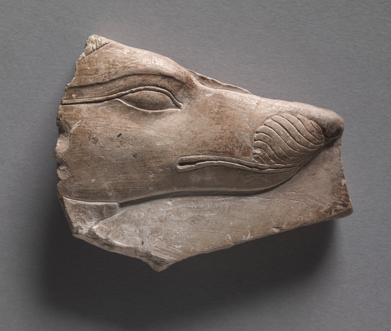 Doppelseitiges Votivrelief, griechisch-römische Zeit, 305-30 v. Chr. von Egyptian Ptolemaic Period