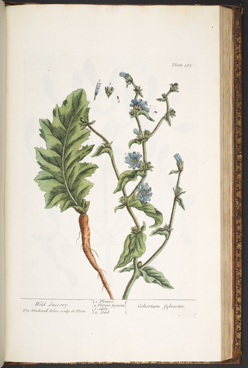 Tafel 183, aus 