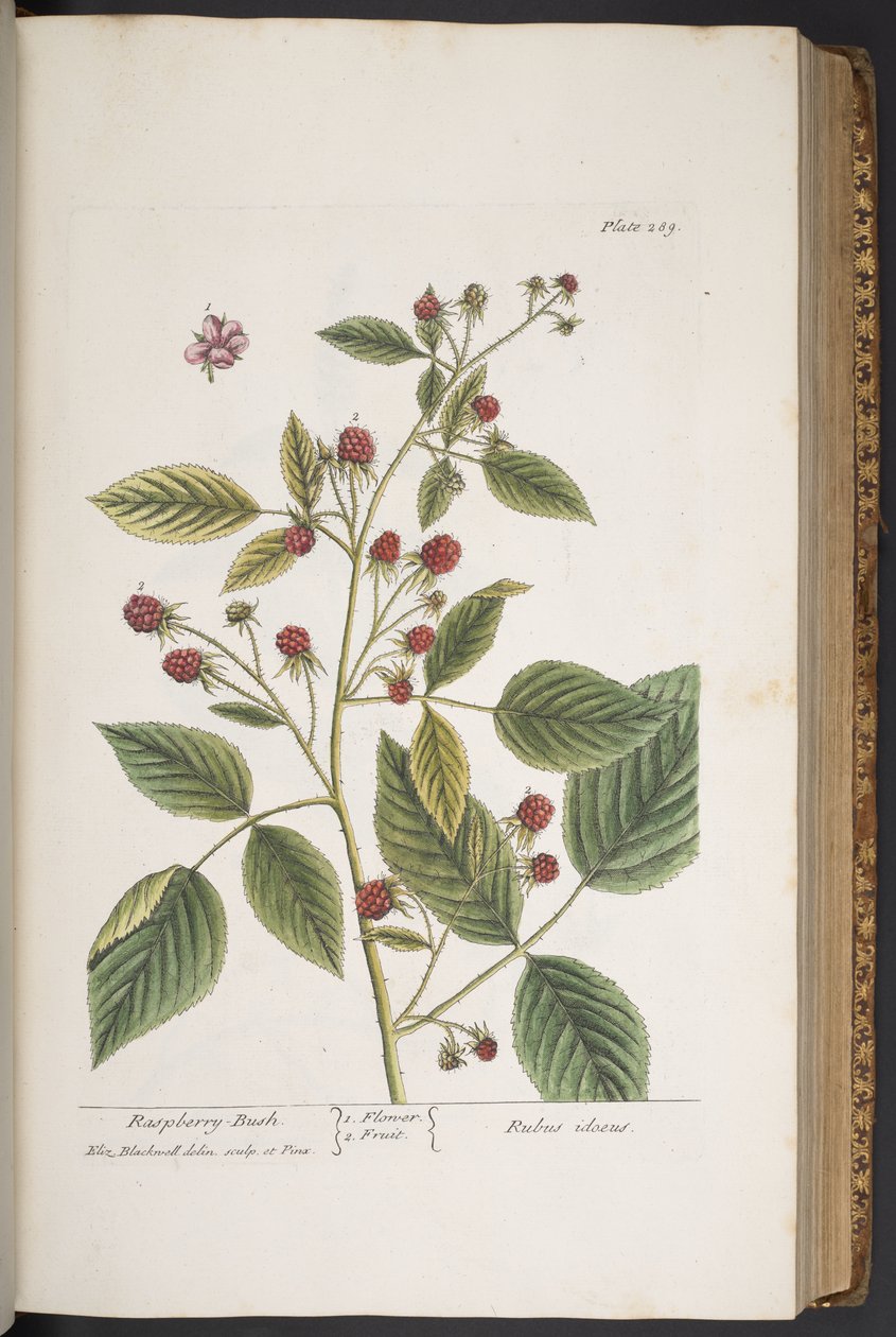 Tafel 289, aus 