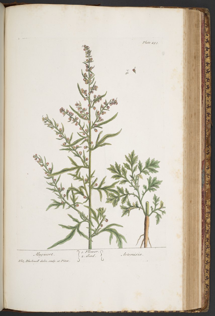 Tafel 431, aus 